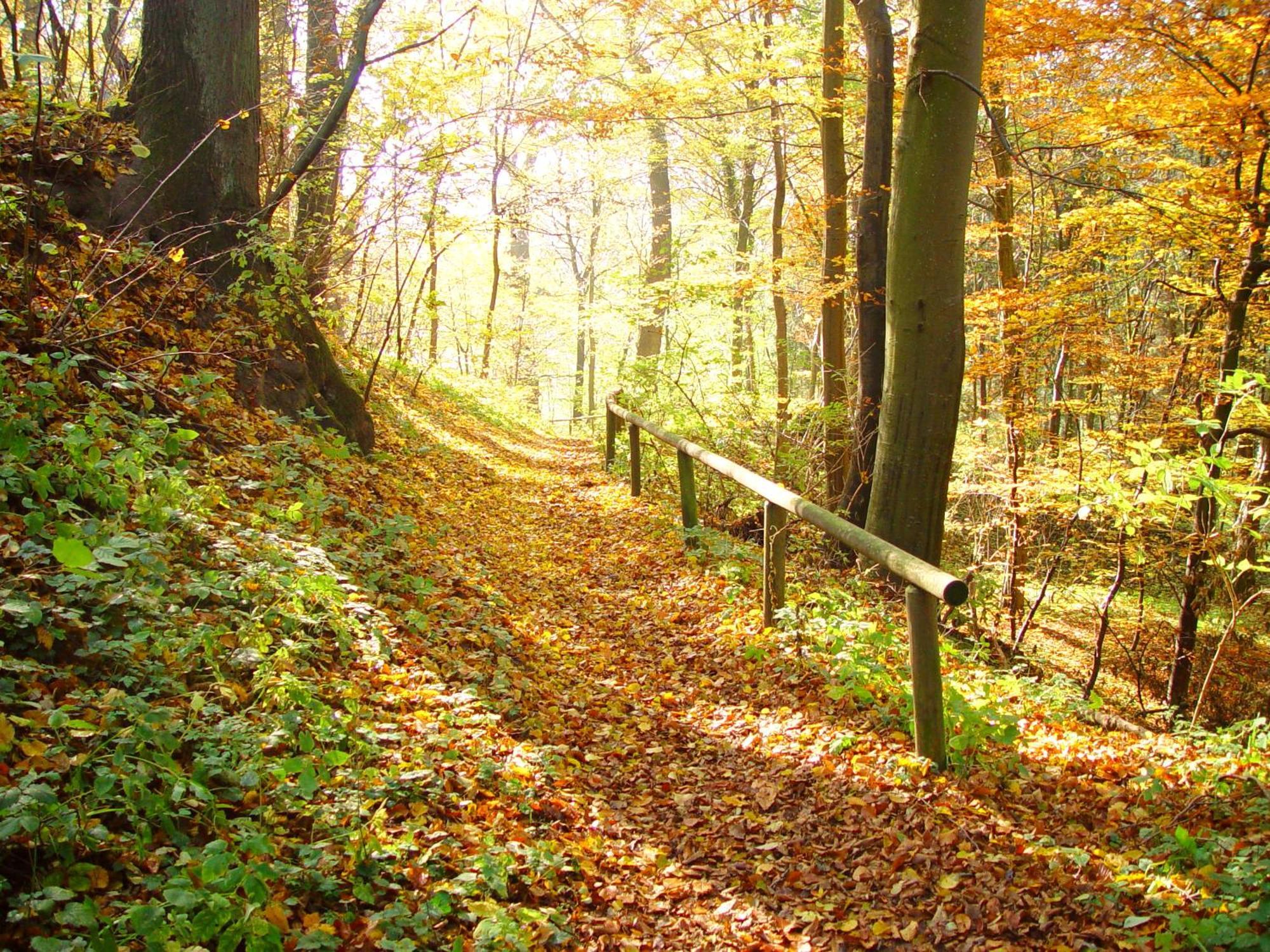 Klostergasthof Roggenburg Buitenkant foto