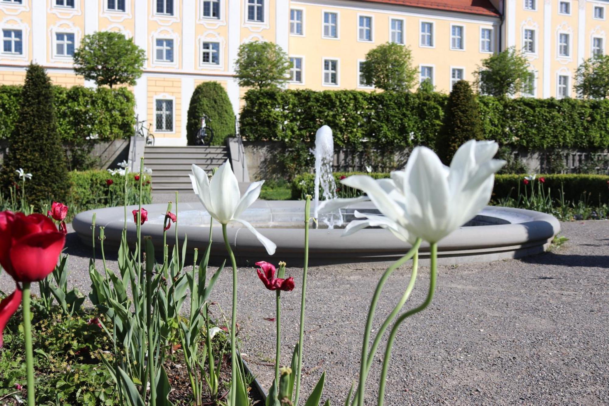 Klostergasthof Roggenburg Buitenkant foto