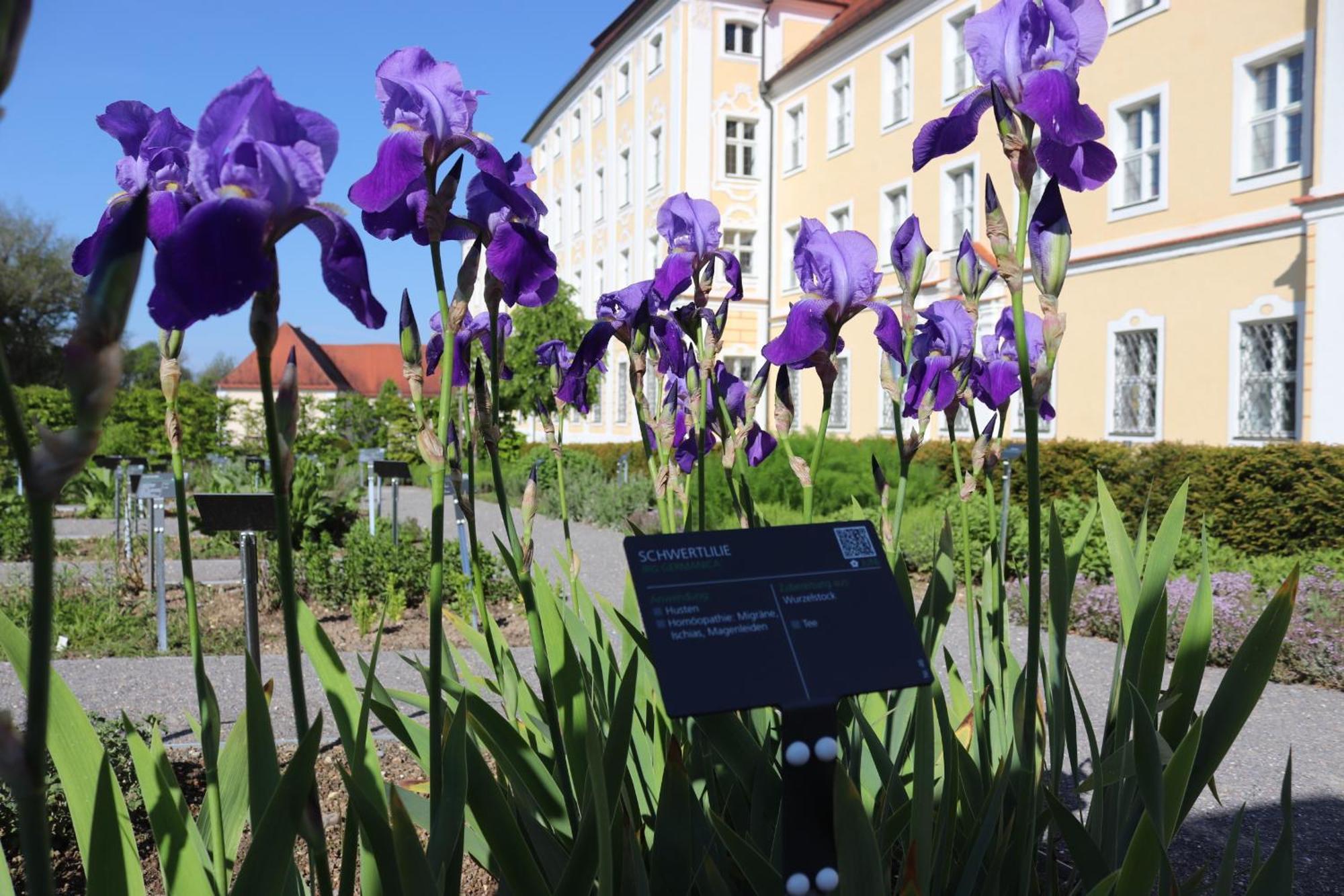 Klostergasthof Roggenburg Buitenkant foto